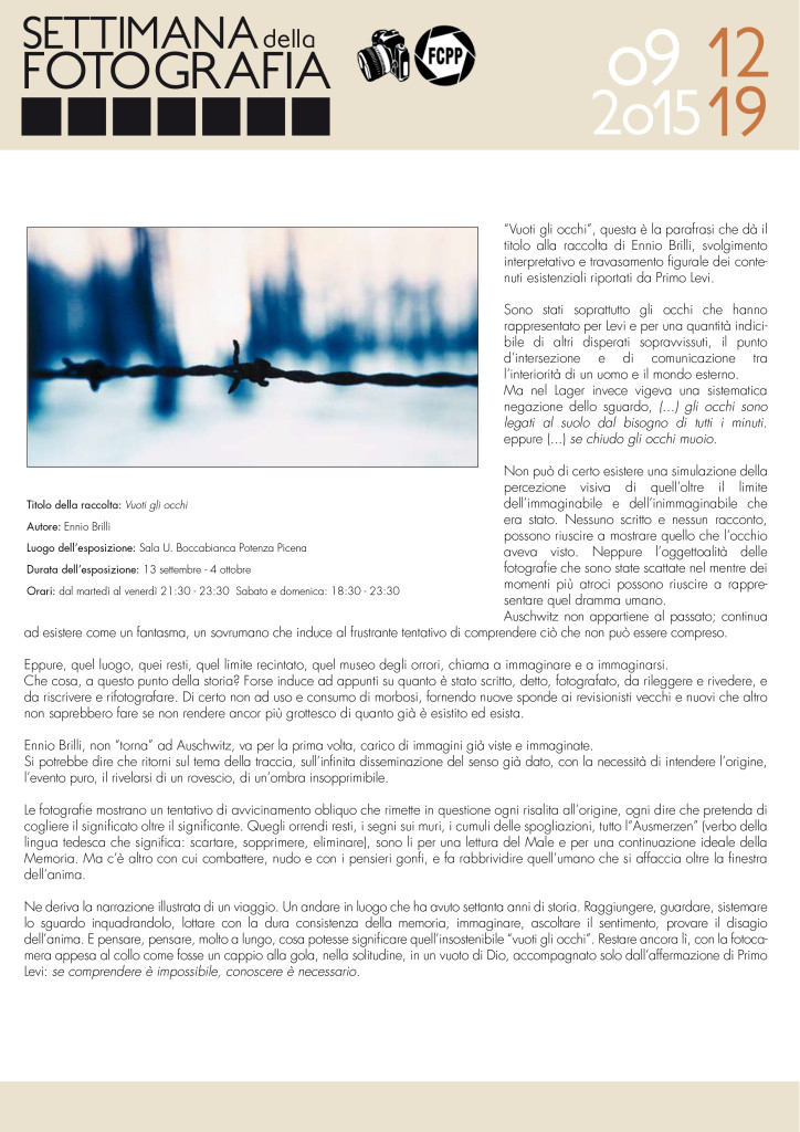 Scheda Mostra Brilli copia
